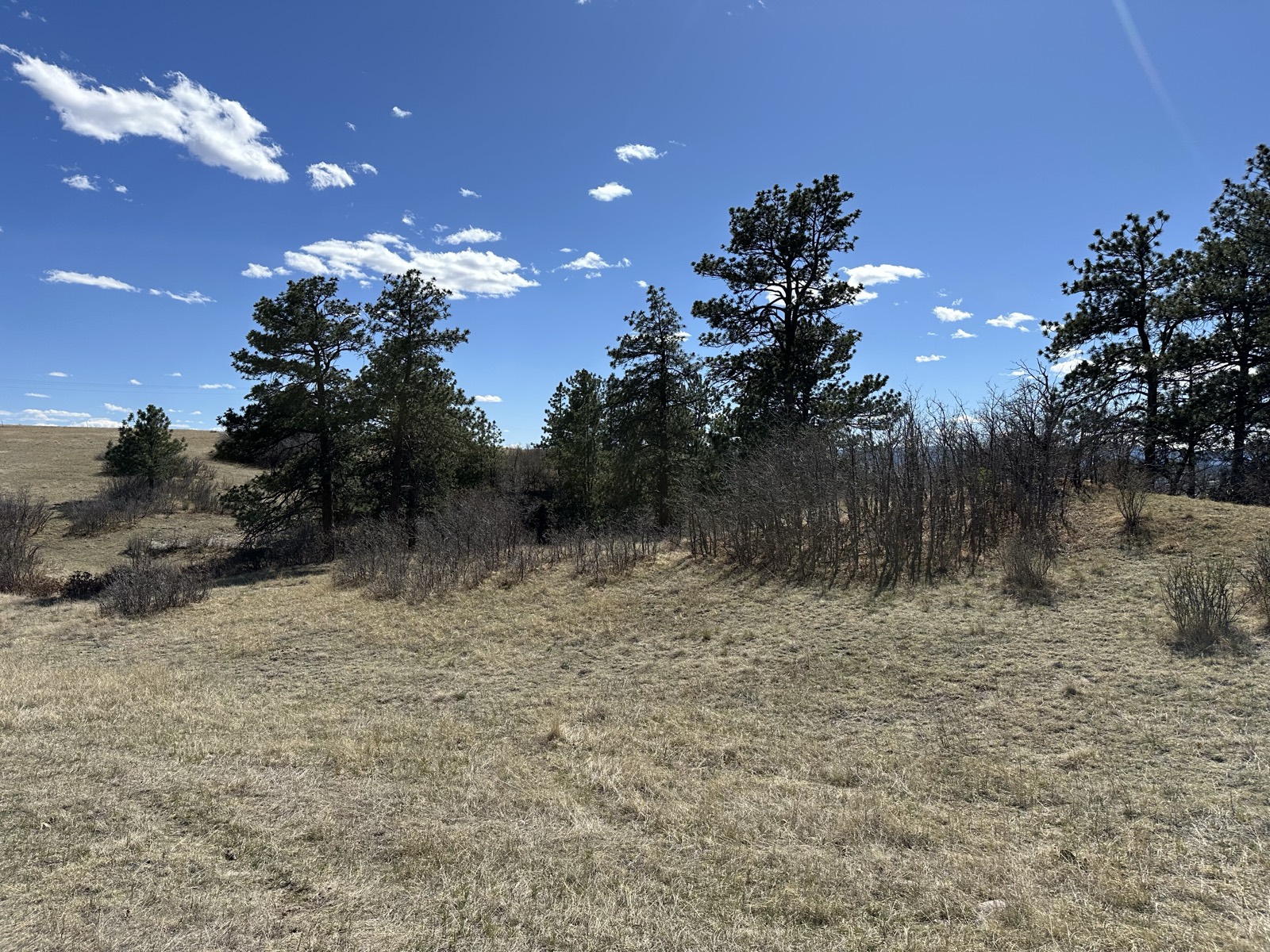 Rolling terrain with distant views
