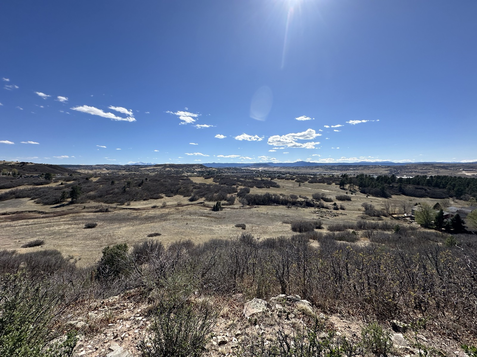 Ground-level view across the land